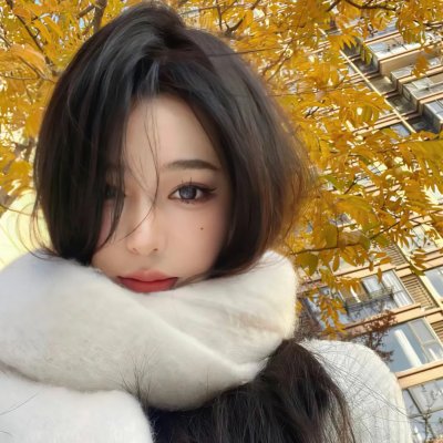 蒂科与鲨鱼